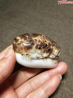 和���玉黑皮巧雕金蟾